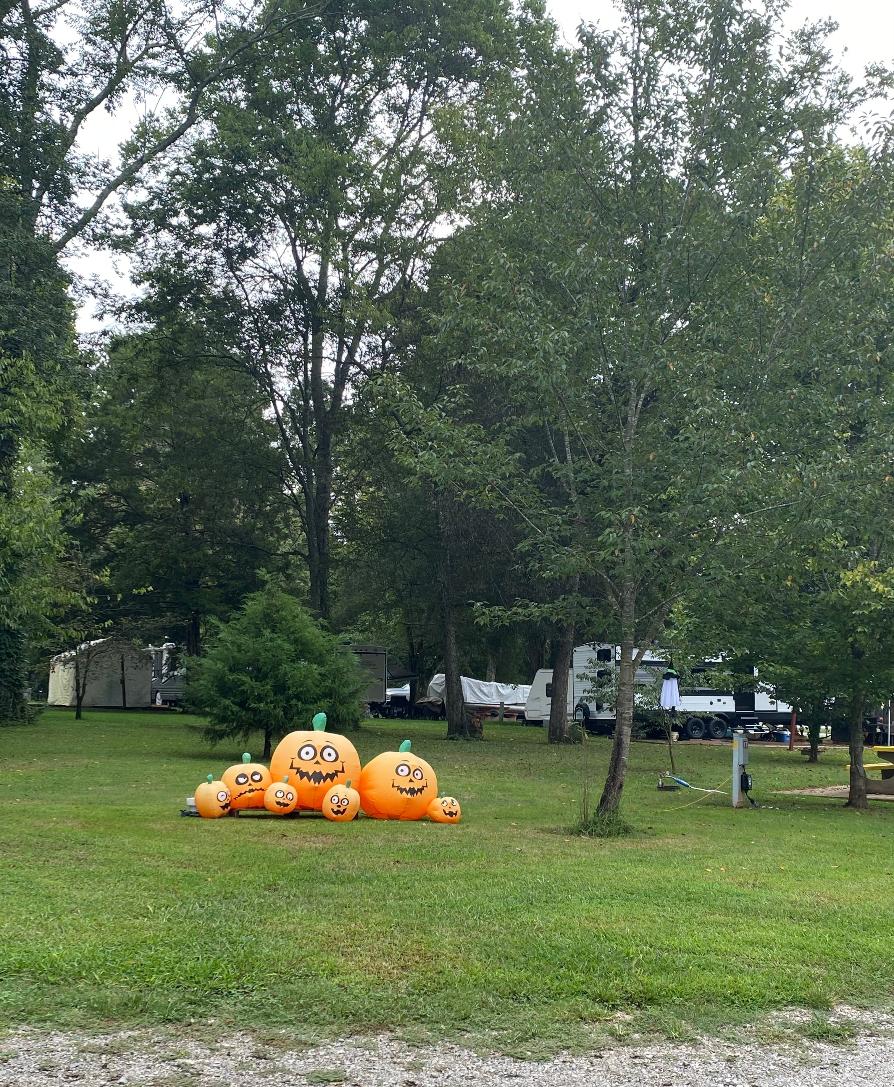 Shellmound RV Resort & Campground, Jasper | Campendium