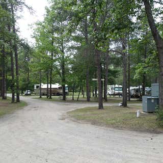 Twin Bears Wooded Campground