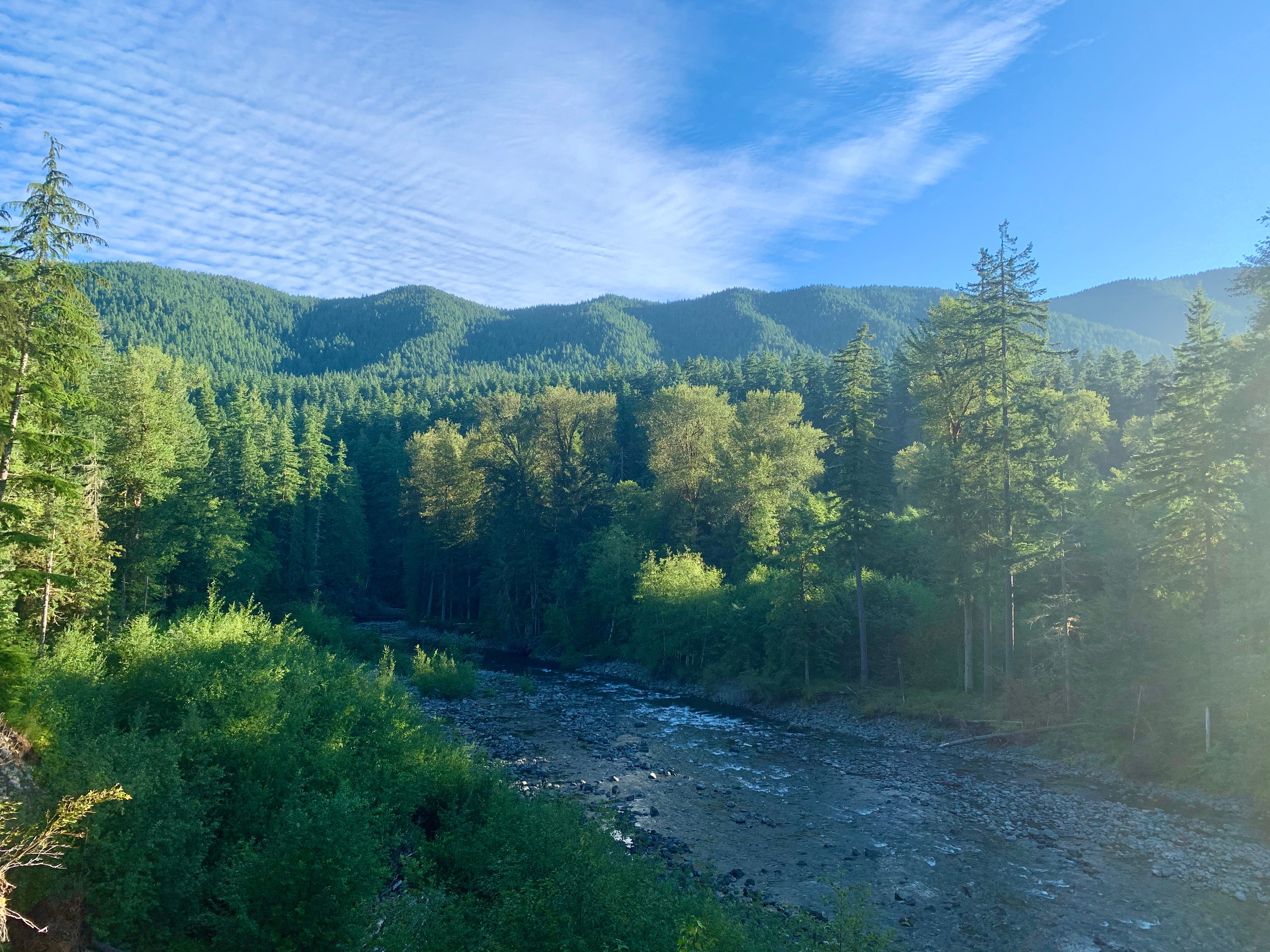 Forest Road 29, Forks | Campendium