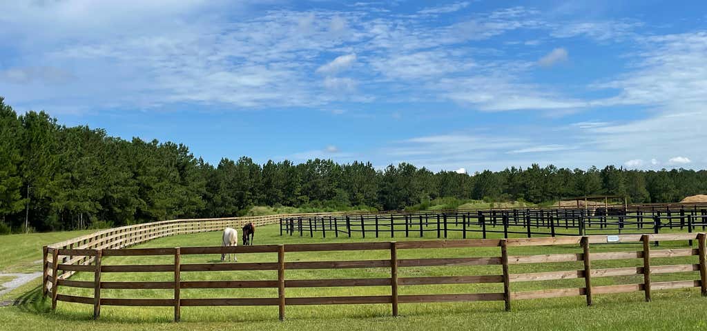 Photo of Jacksonville Equestrian Center
