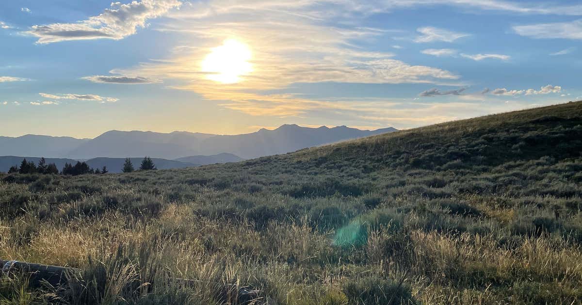 Curtis Canyon Dispersed Campsite 10, Jackson | Campendium