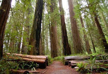Photo of Cathedral Grove