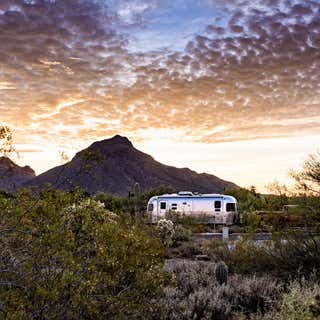Gilbert Ray Campground Tucson Mountain Park