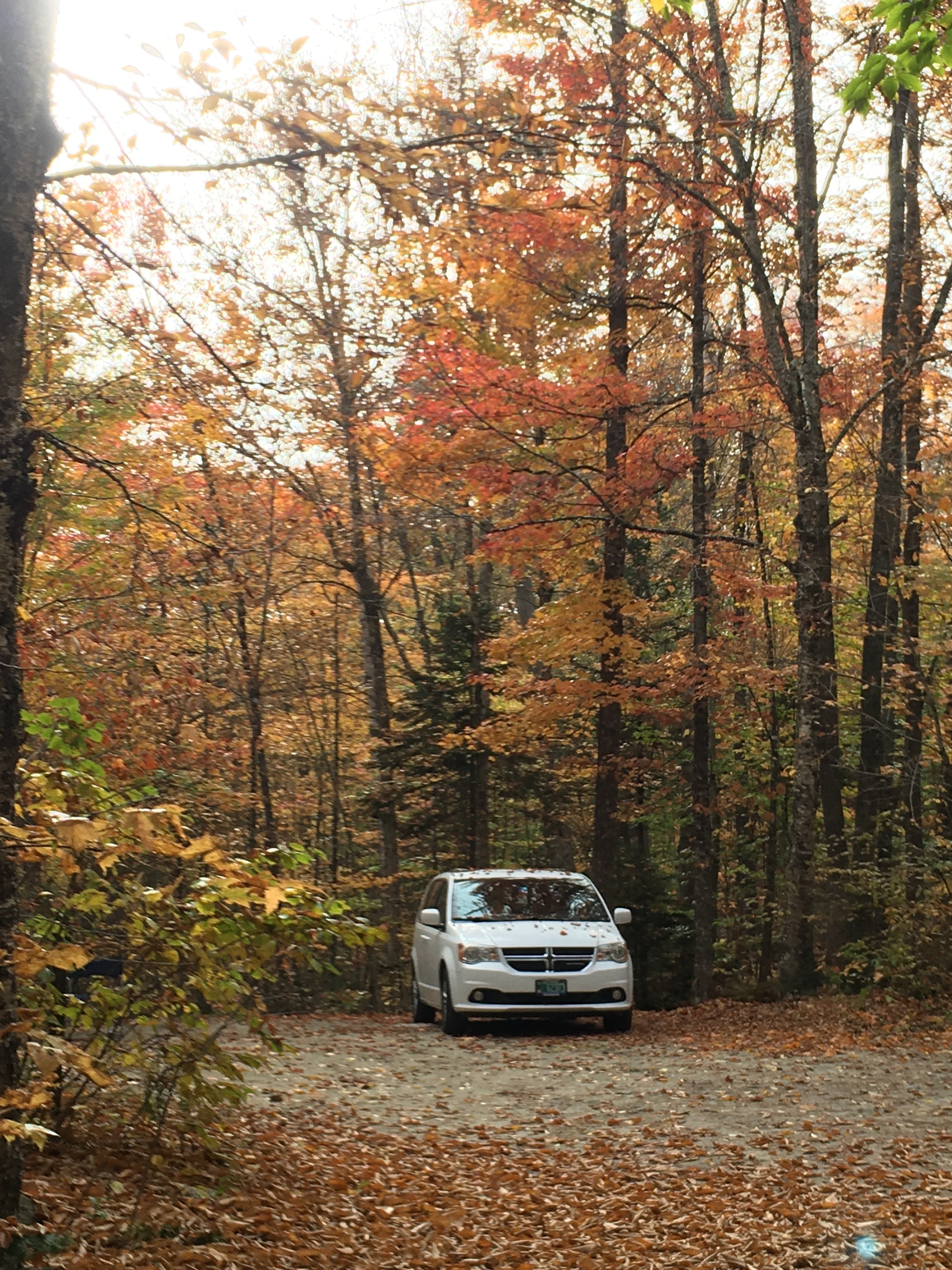Ricker Pond State Park Campground