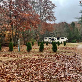 Nickerson Park Family Campground