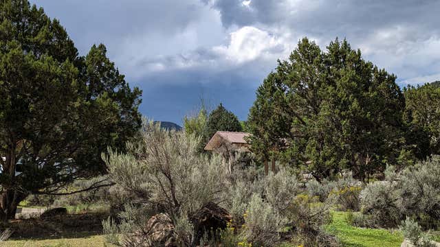Horsethief gulch campground 2025