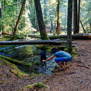 Clearwater Falls Campground