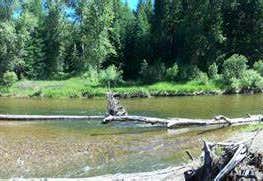 Photo of Lake Creek Campground