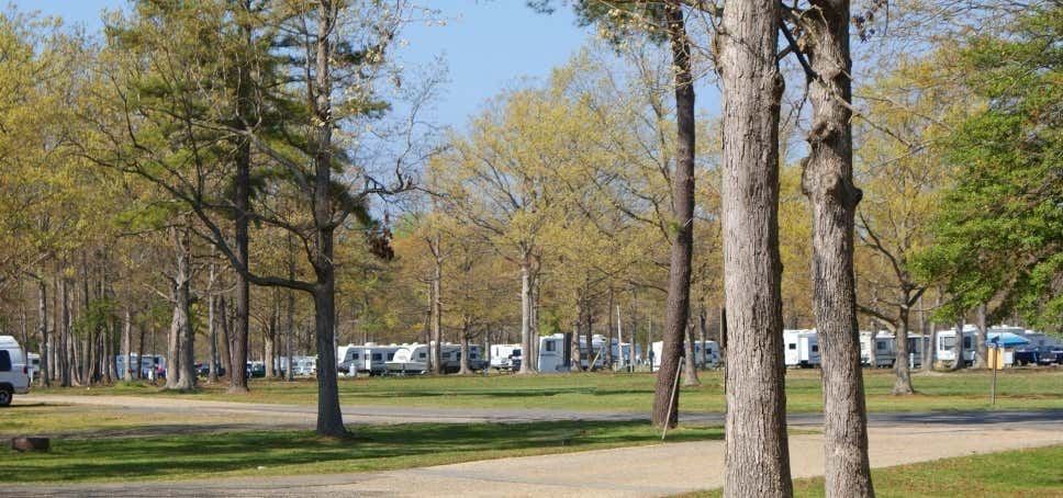 Photo of Take It Easy Campground