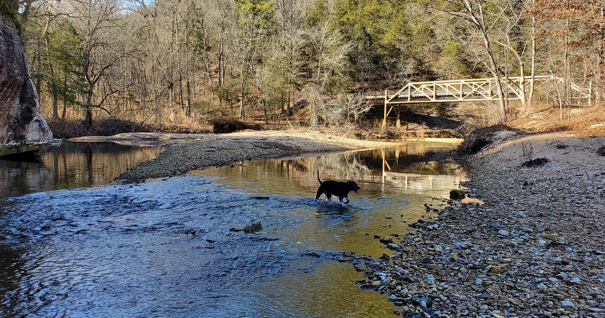 Barkshed Recreation Area Campground, FiftySix Roadtrippers