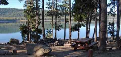 Photo of Modoc National Forest - Medicine Lake
