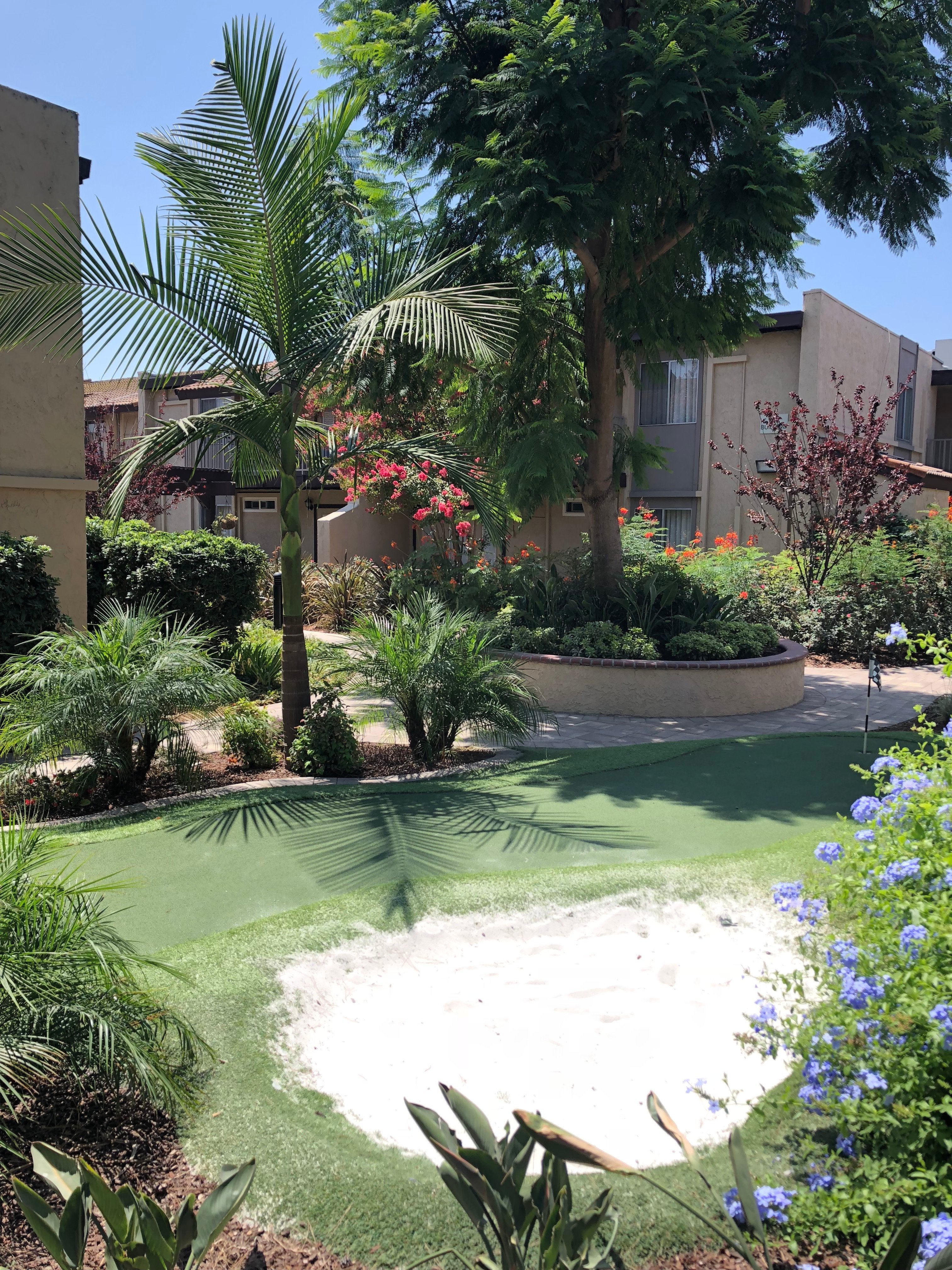Club Wyndham Dolphin's Cove