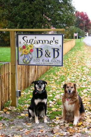 Suzanne's B&B
