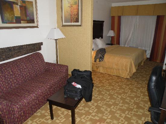 Comfort Suites West Dallas - Cockrell Hill
