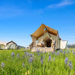 Under Canvas West Yellowstone