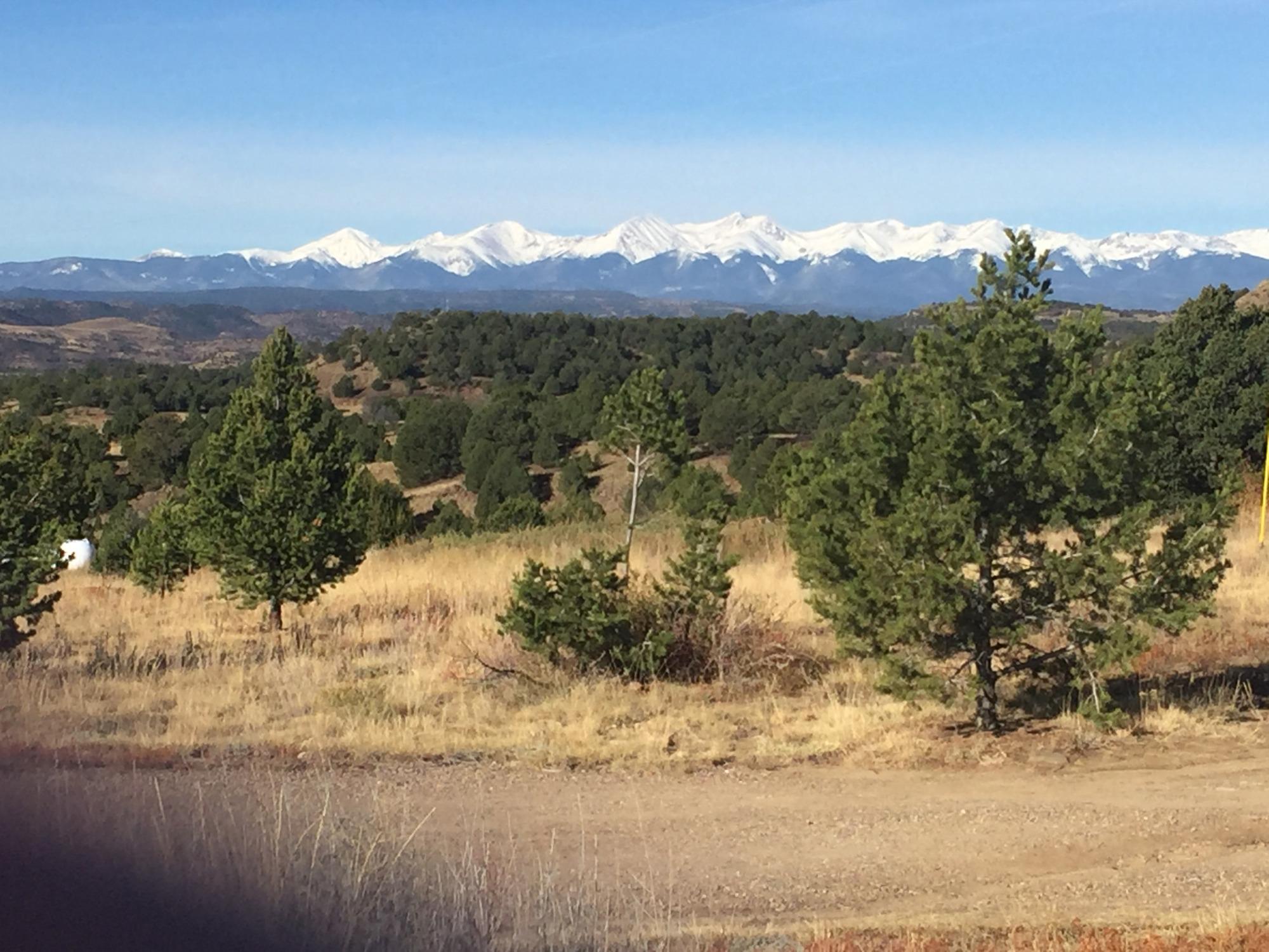 Royse Ranch Bed and Breakfast