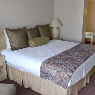 Safari Inn Downtown