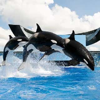 Fairfield Inn & Suites San Antonio SeaWorld/Westover Hills