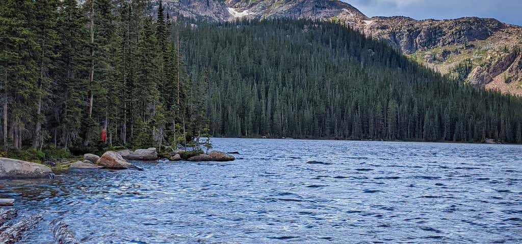 Photo of Timberline Lake Trail
