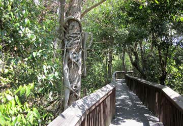 Photo of Gumbo Limbo Trail