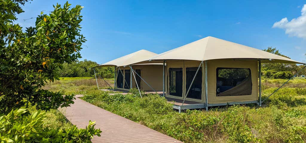 Photo of Flamingo Eco Tents