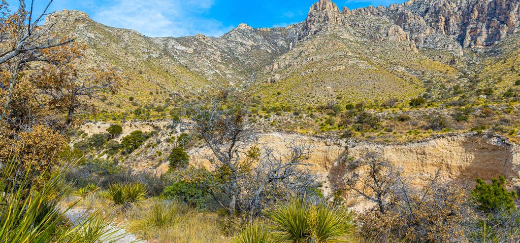 Photo of Guadalupe Mountains National Park
