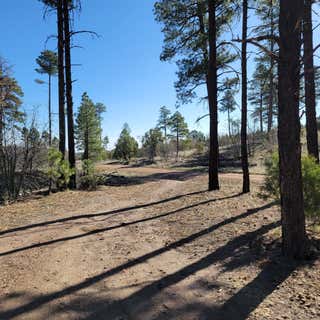 Pinedale Ridge Dispersed Camping