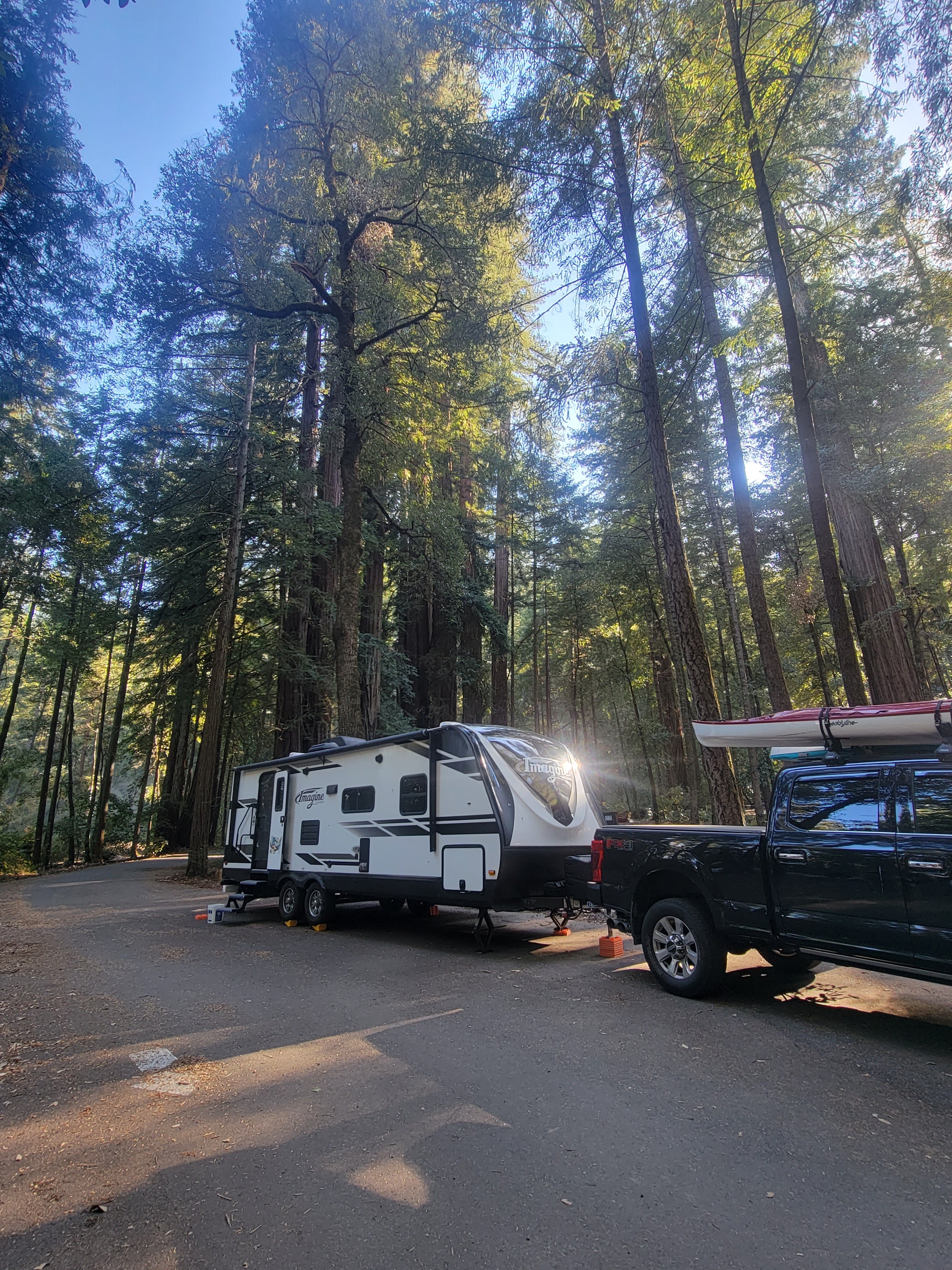 Richardson Grove State Park