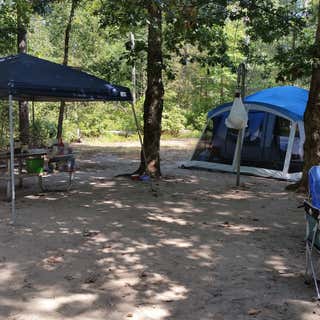 Parvin State Park Campground