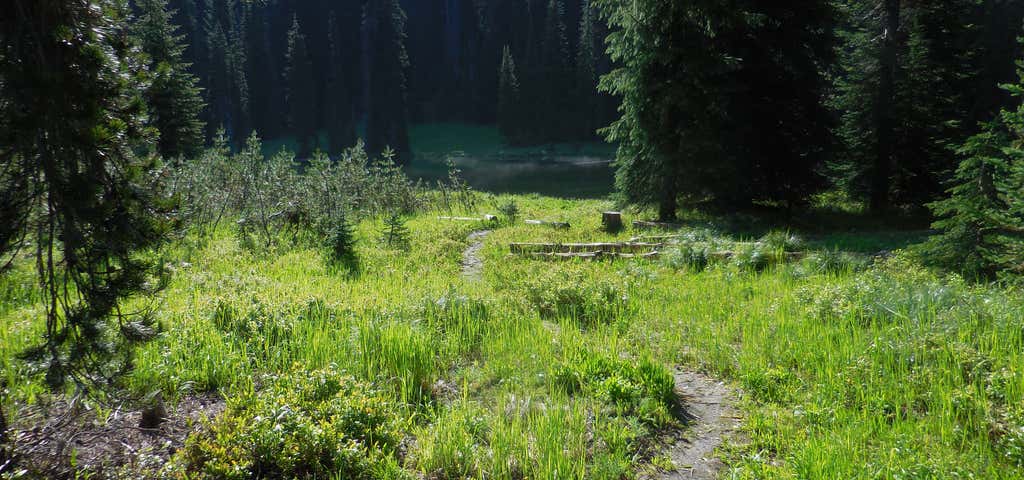 Photo of Elk Summit Campground