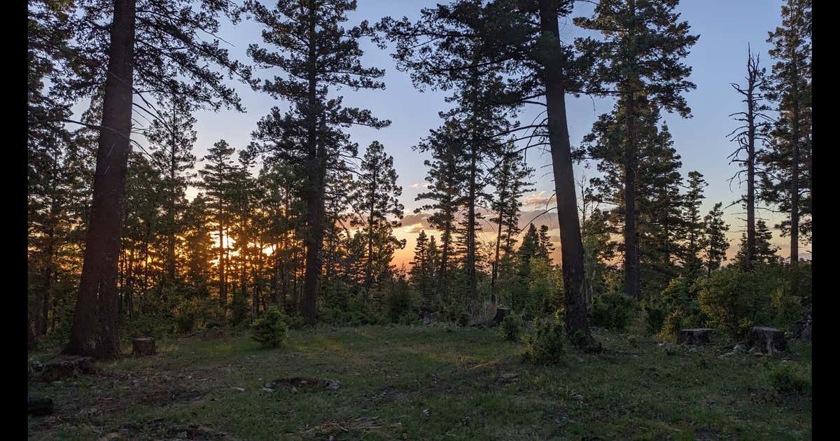 Pumphouse Canyon Dispersed Camping, Cloudcroft Roadtrippers