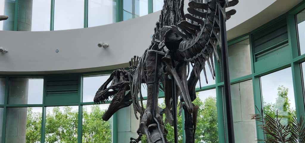 Photo of North Carolina Museum of Natural Sciences