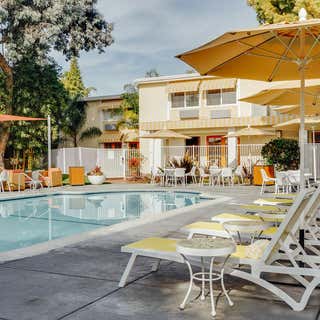 Wild Palms Hotel, A Jdv By Hyatt Hotel