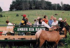 Photo of Amber Elk Ranch