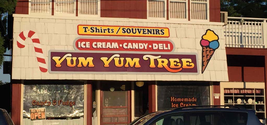 Photo of Yum Yum Tree