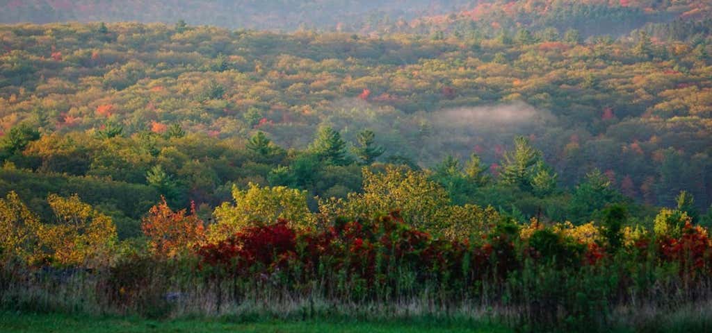 Photo of Mohawk State Forest