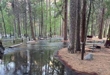 Photo of North Pines Campground