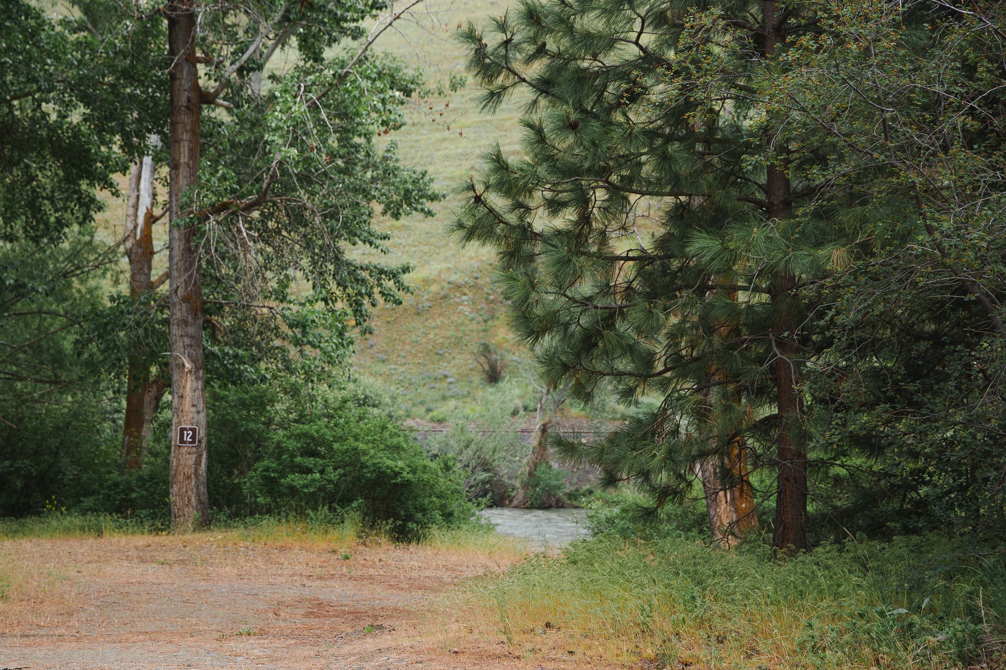 Bighorn Campground - Main photo