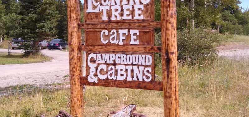 Photo of Leaning Tree Cafe and Campground