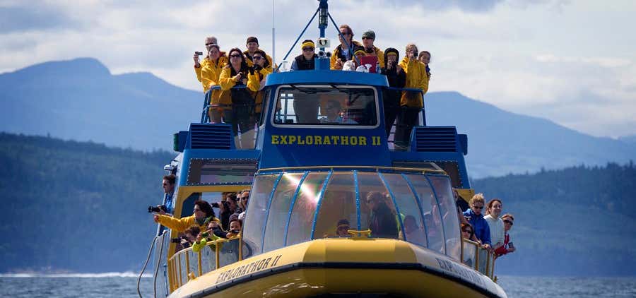 Photo of Vancouver Whale Watch