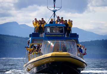 Photo of Vancouver Whale Watch