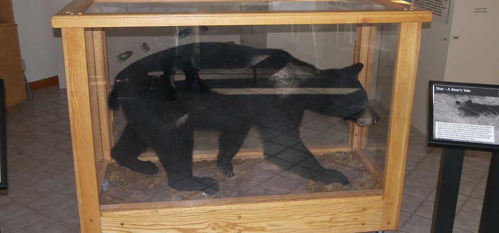 Photo of Stockton Island Visitor Center