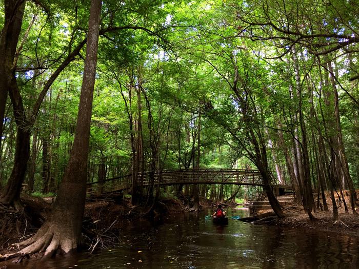 Congaree National Park