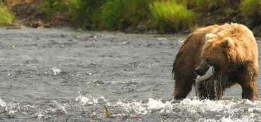 Photo of Kodiak National Wildlife Refuge