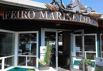 Photo of Arthur D. Feiro Marine Life Center
