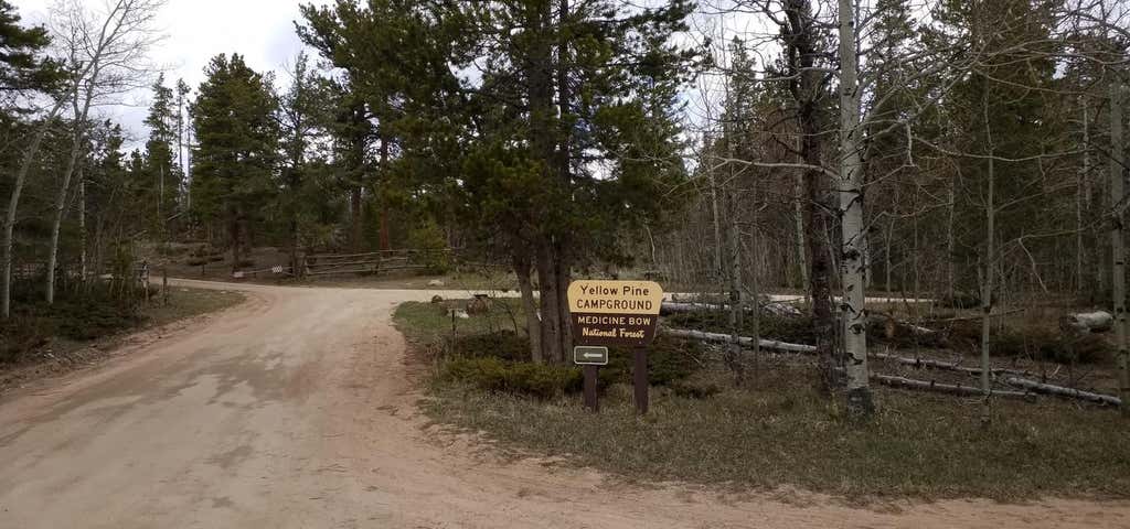 Photo of Yellow Pine Campground (Wy)