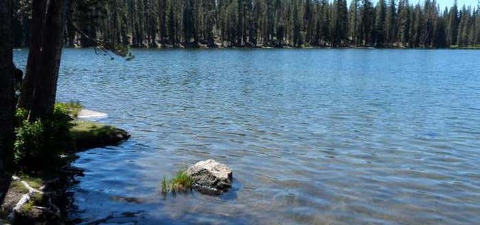 Photo of Summit Lake Campground South
