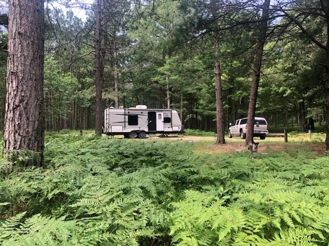 Green Road Dispersed Camping