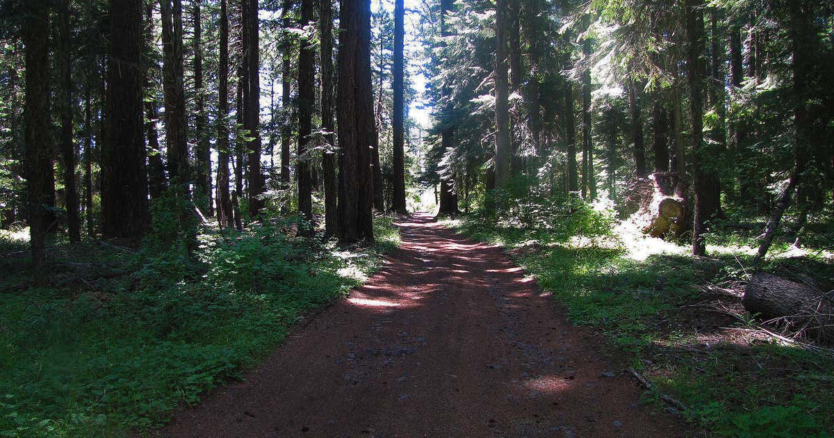 Baker Cypress Trail, Oregon Roadtrippers