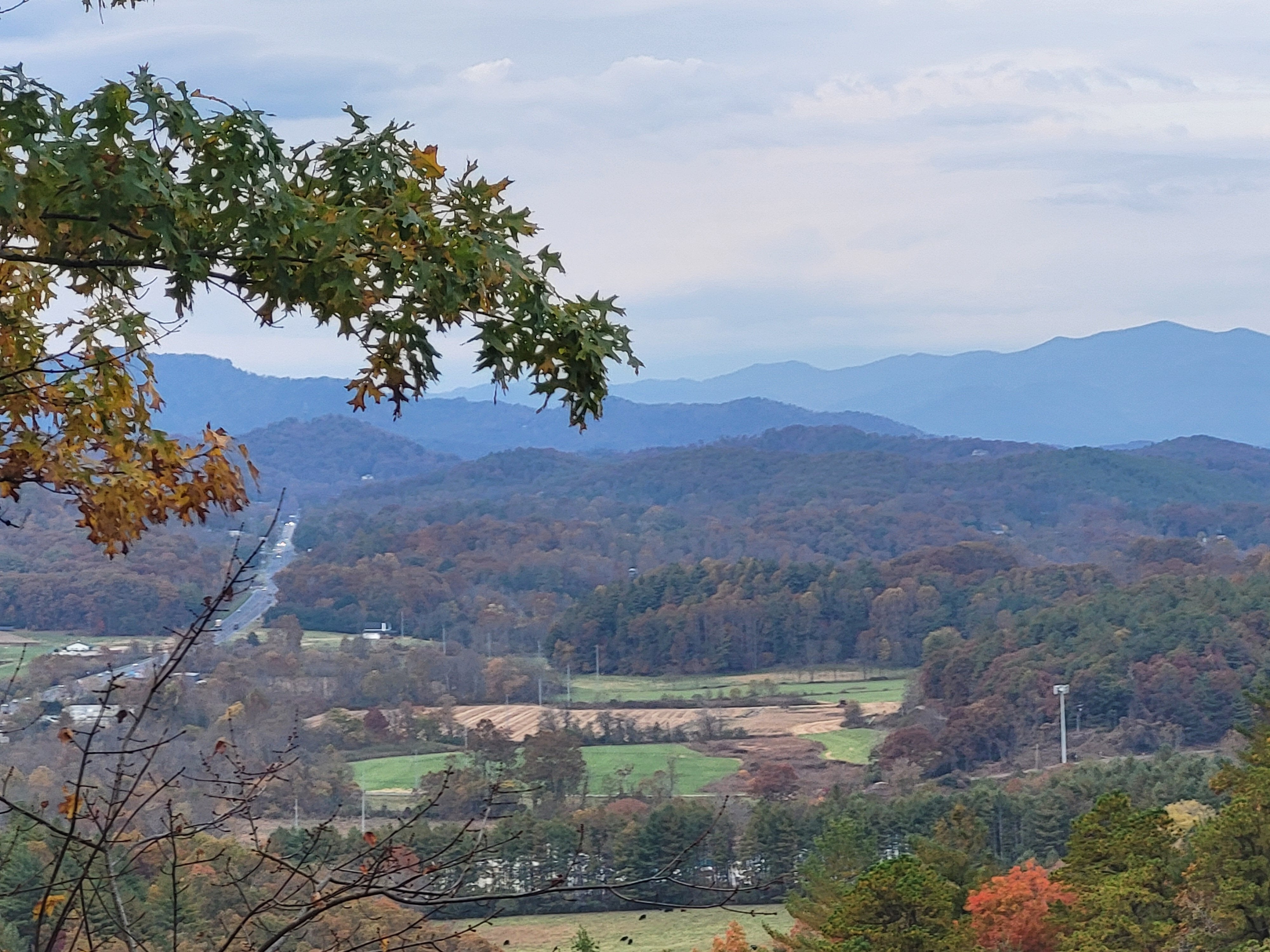 Cardinal Ridge Farm RV Mountain Retreat, Franklin | Campendium